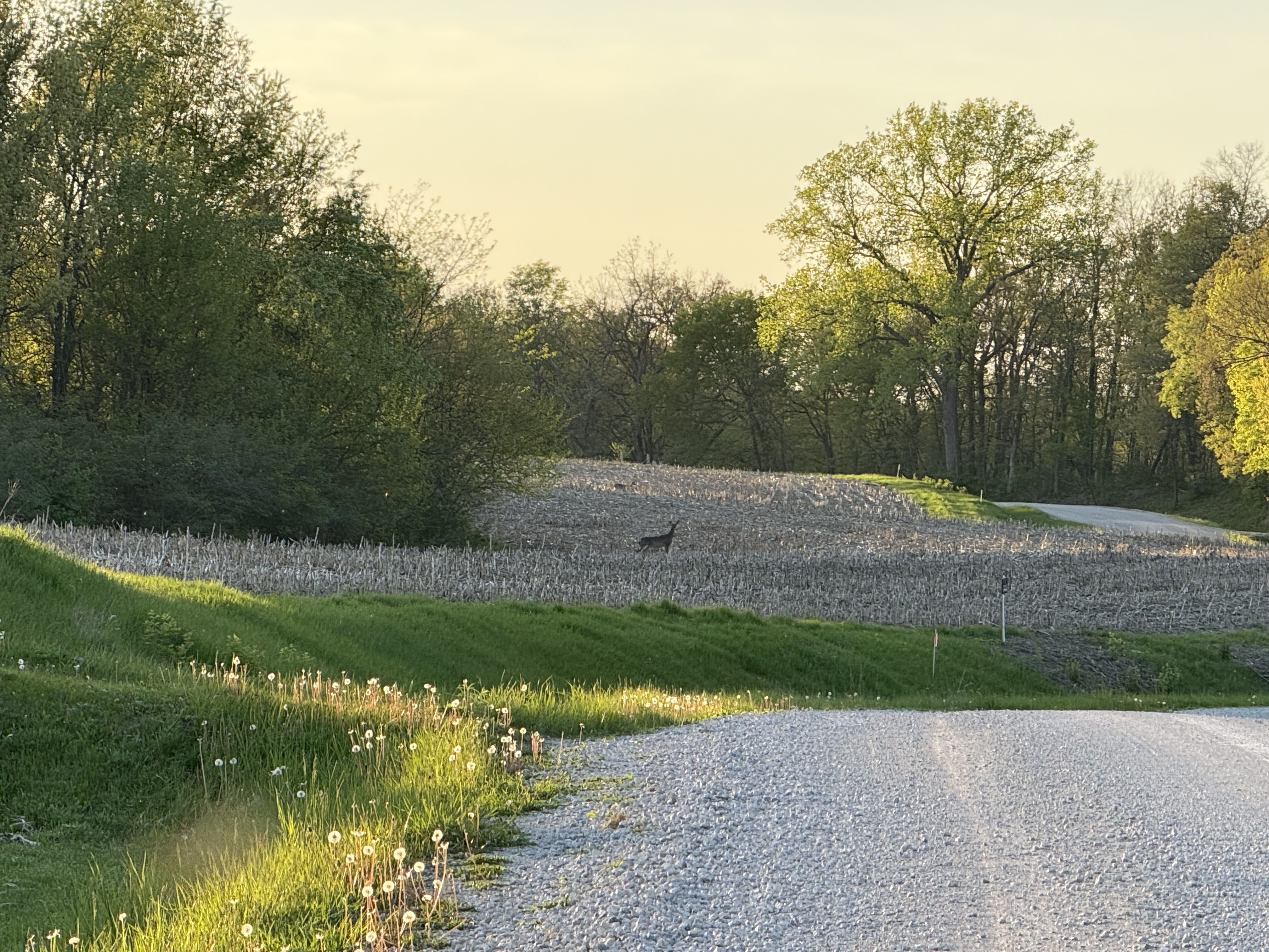 Listing Photo: 18351-Photo May 06 2025 7 32 59 PM